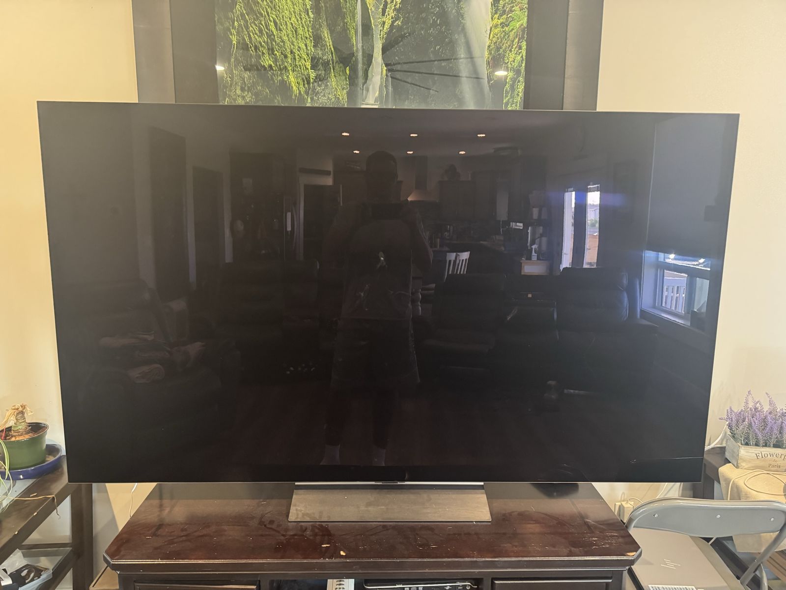 Free LG OLED. 