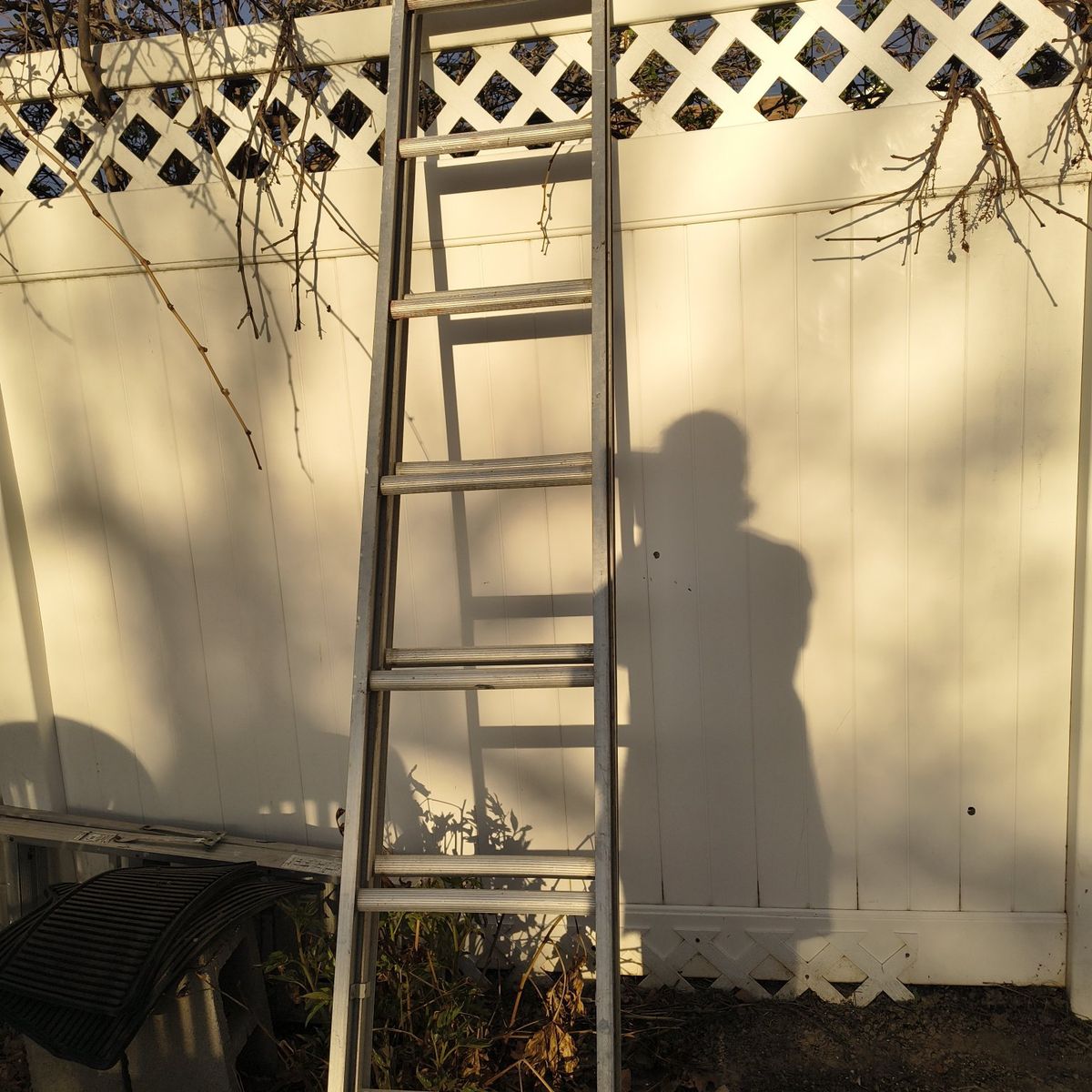 Extension Ladder