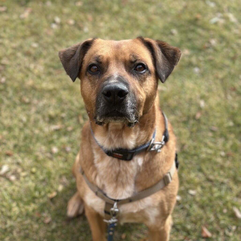 Hello my name is Freedom