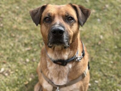 Hello my name is Freedom