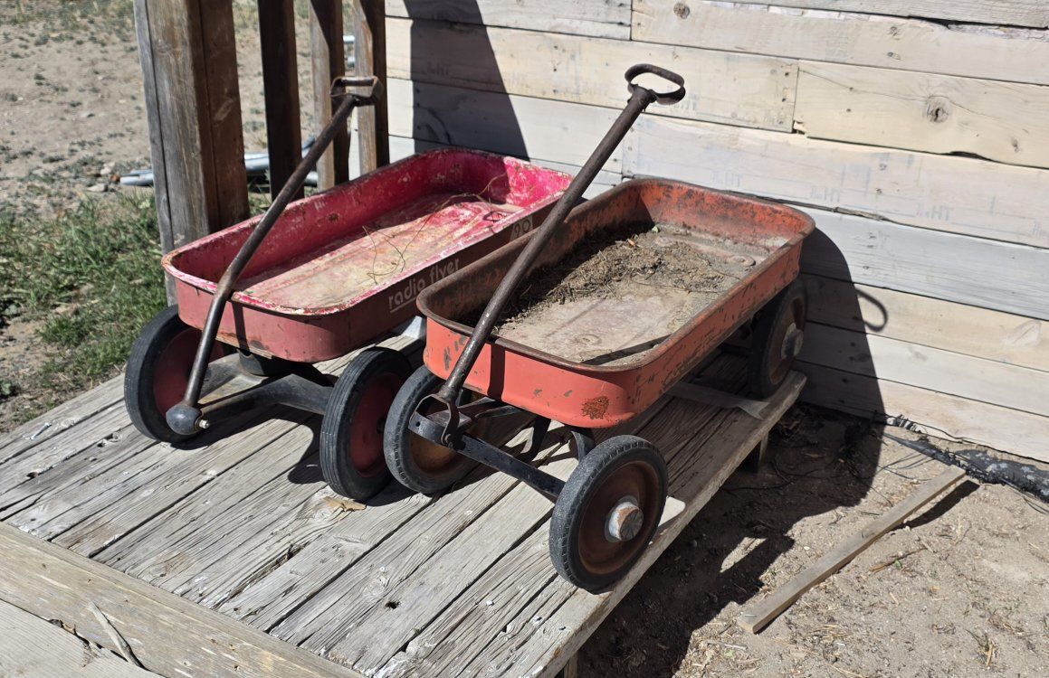 Radio Flyer Wagons