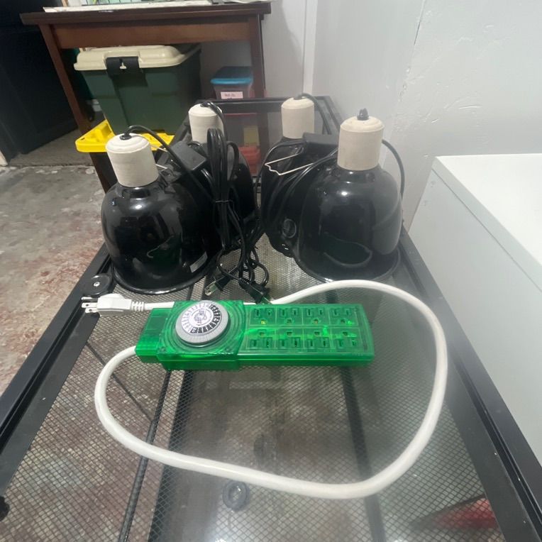 $25 takes two dome lights and timer