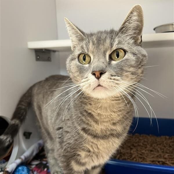 Hello my name is Sati