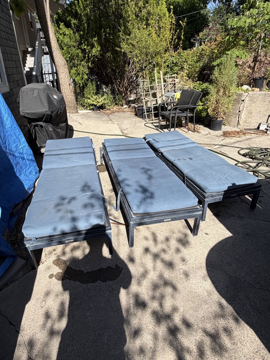 Pool Loungers with Cushion