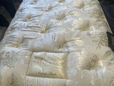 $1500 - Asking $50 Twin Matters Simmons Beauty Rest World Class Makena Plush and Collapsible Box springs