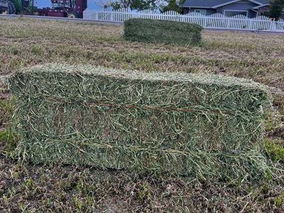 Alfalfa Small Bales