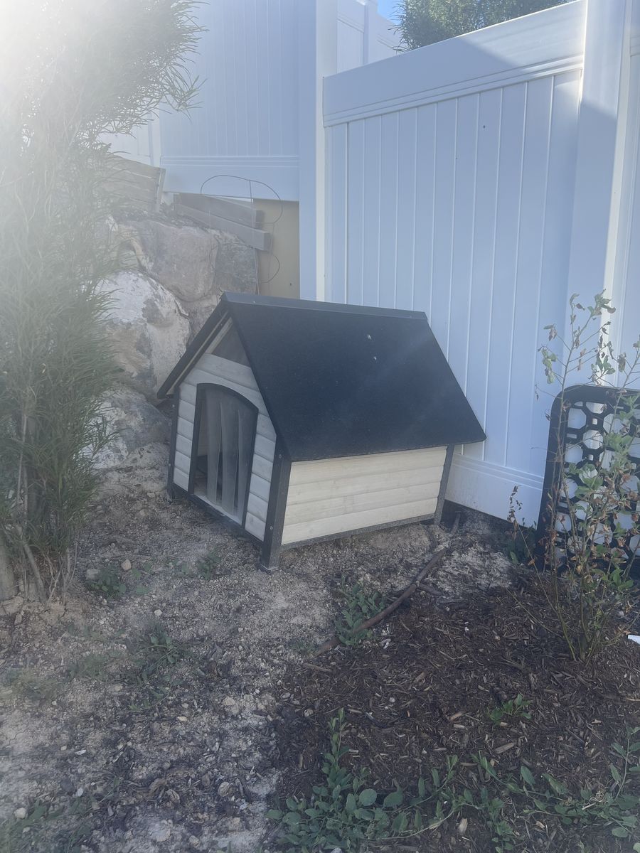 Dog house $50 obo