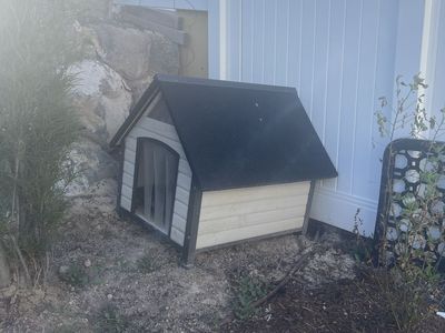 Dog house $50 obo