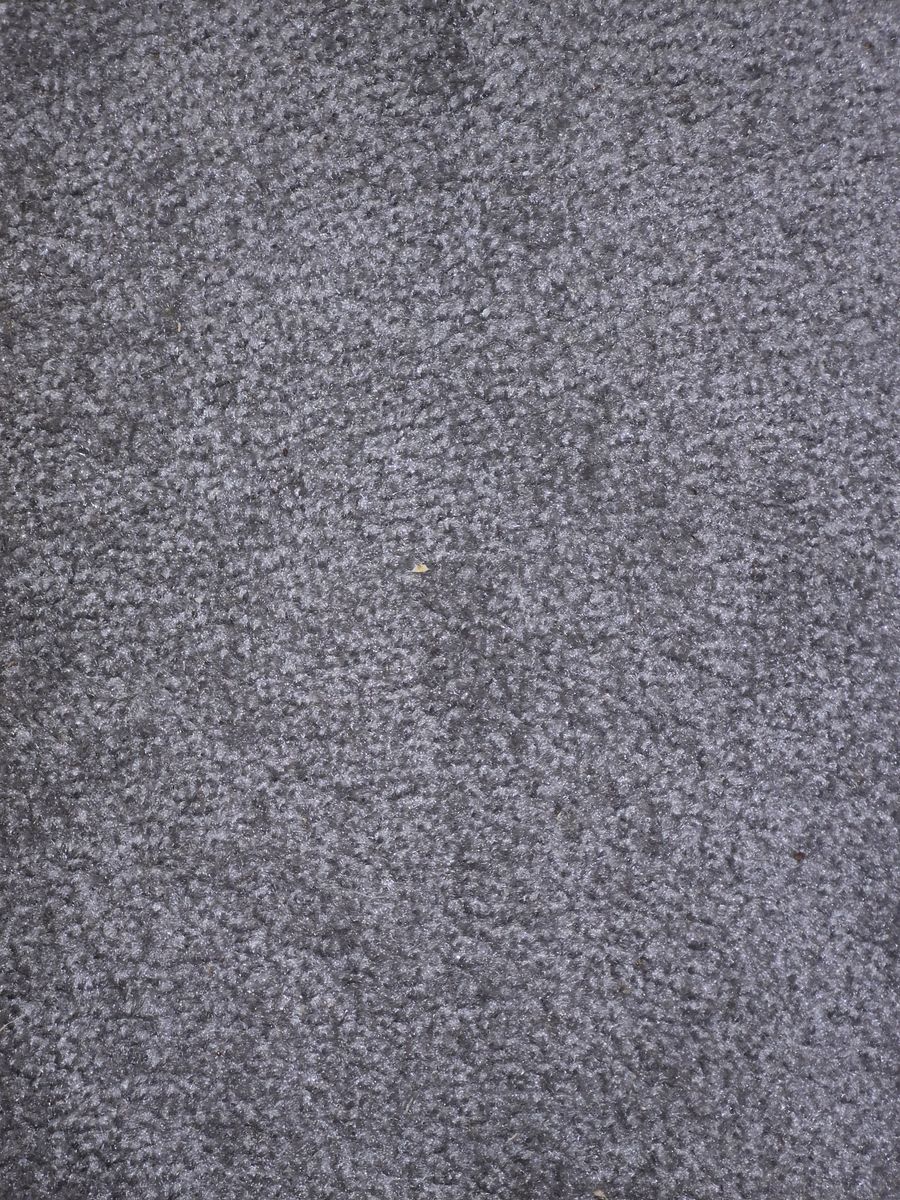 Carpet $50 per room