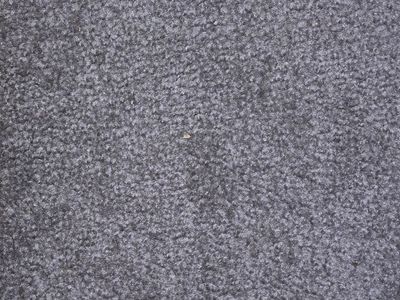 Carpet $50 per room