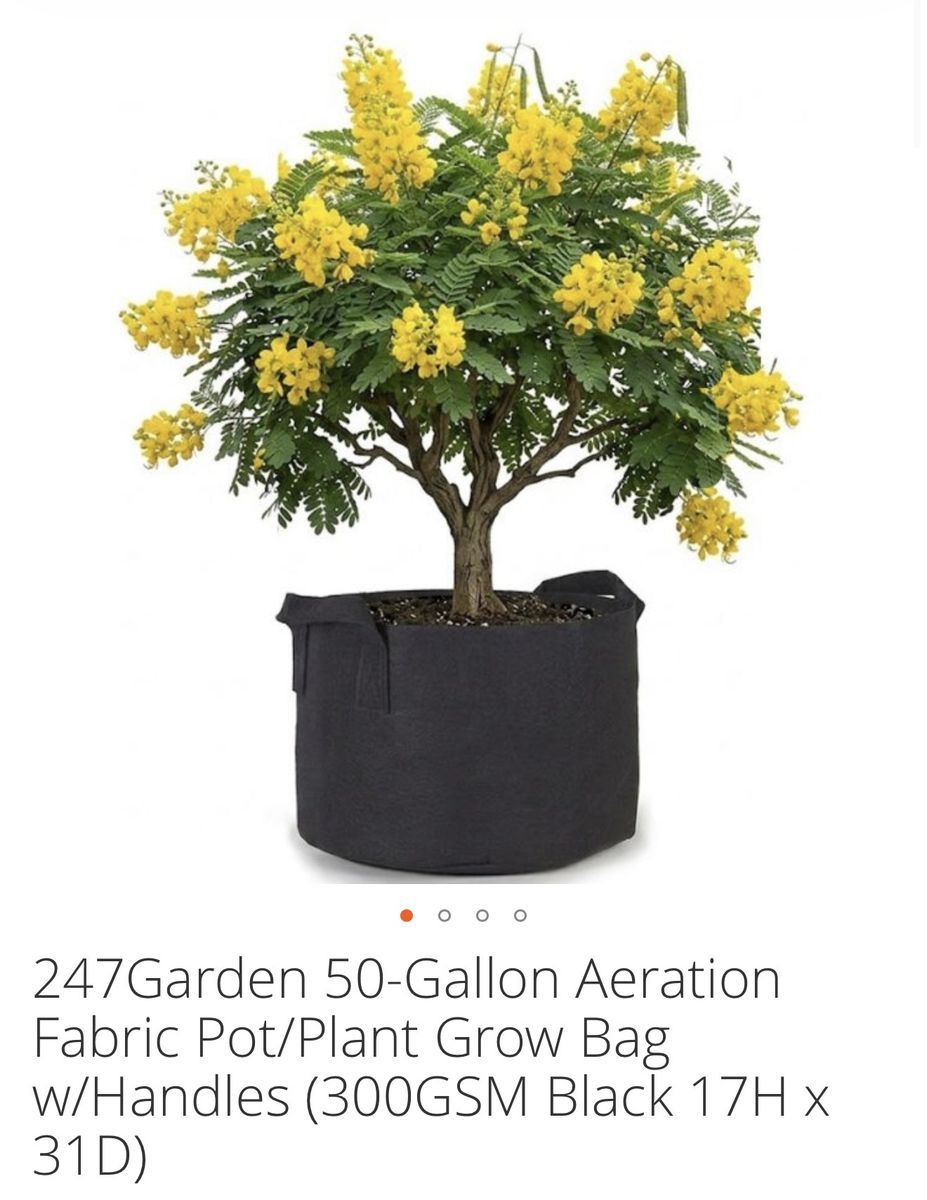 40 gallon aeration fabric pot grow bag plants and trees