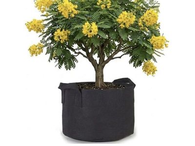 40 gallon aeration fabric pot grow bag plants and trees