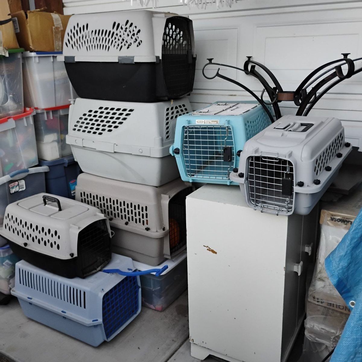 PET Crates, Carriers Small And Medium Up To 26x18