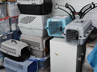 PET Crates, Carriers Small And Medium Up To 26x18