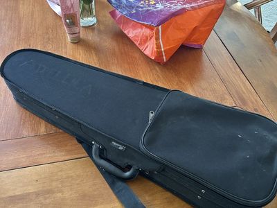 Riveryon music violin case, Zip up