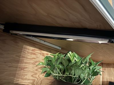 Arcadia pro smart lamp 22 inch
