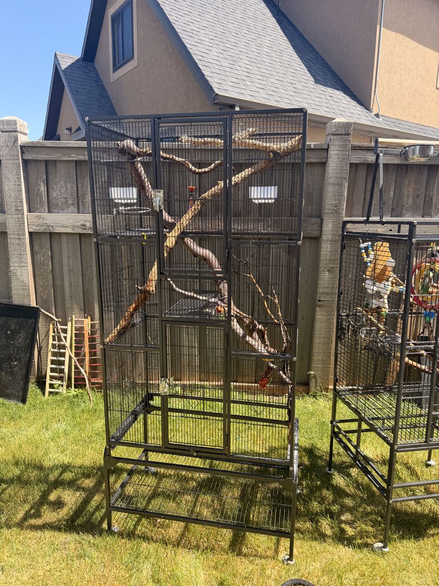bird cages