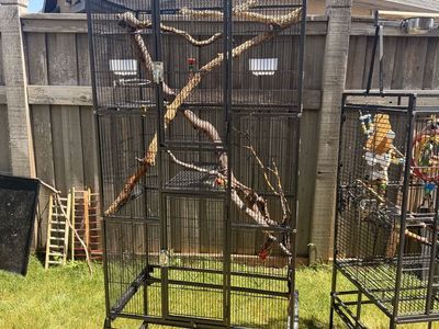 bird cages
