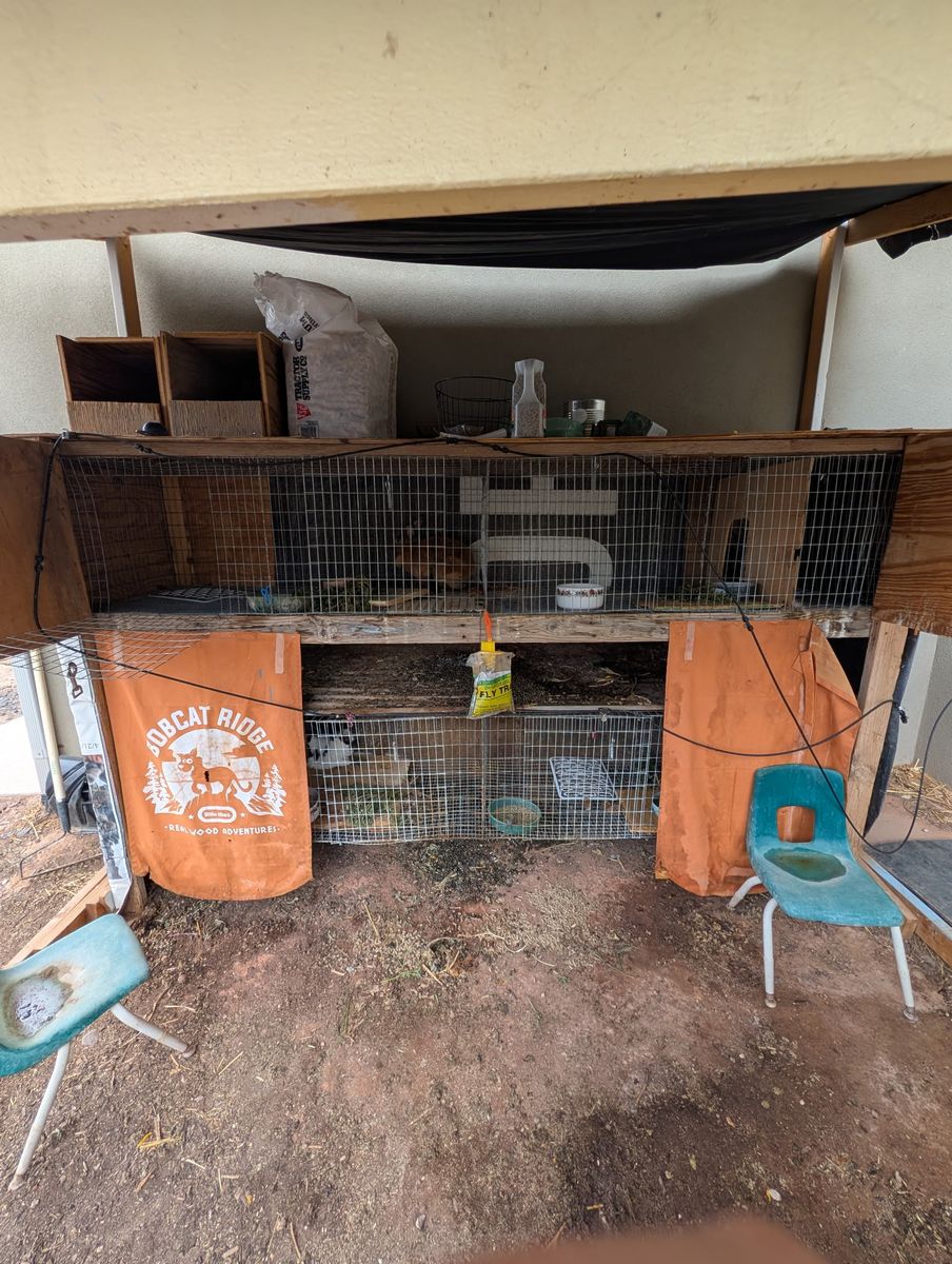 Two tier (4 hole) rabbit hutch