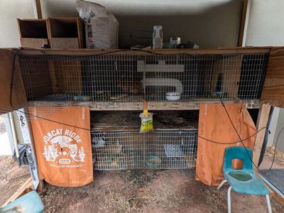 Two tier (4 hole) rabbit hutch