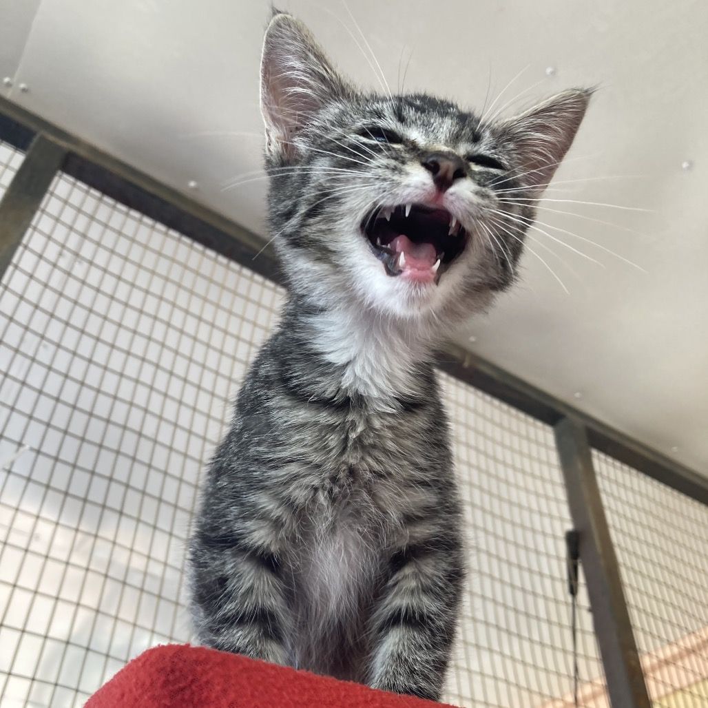 Hello my name is Treasure