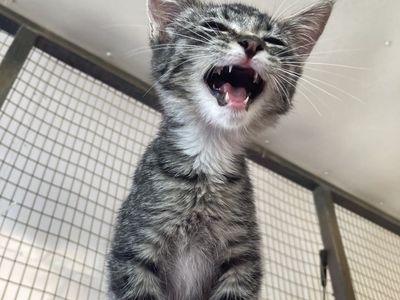 Hello my name is Treasure