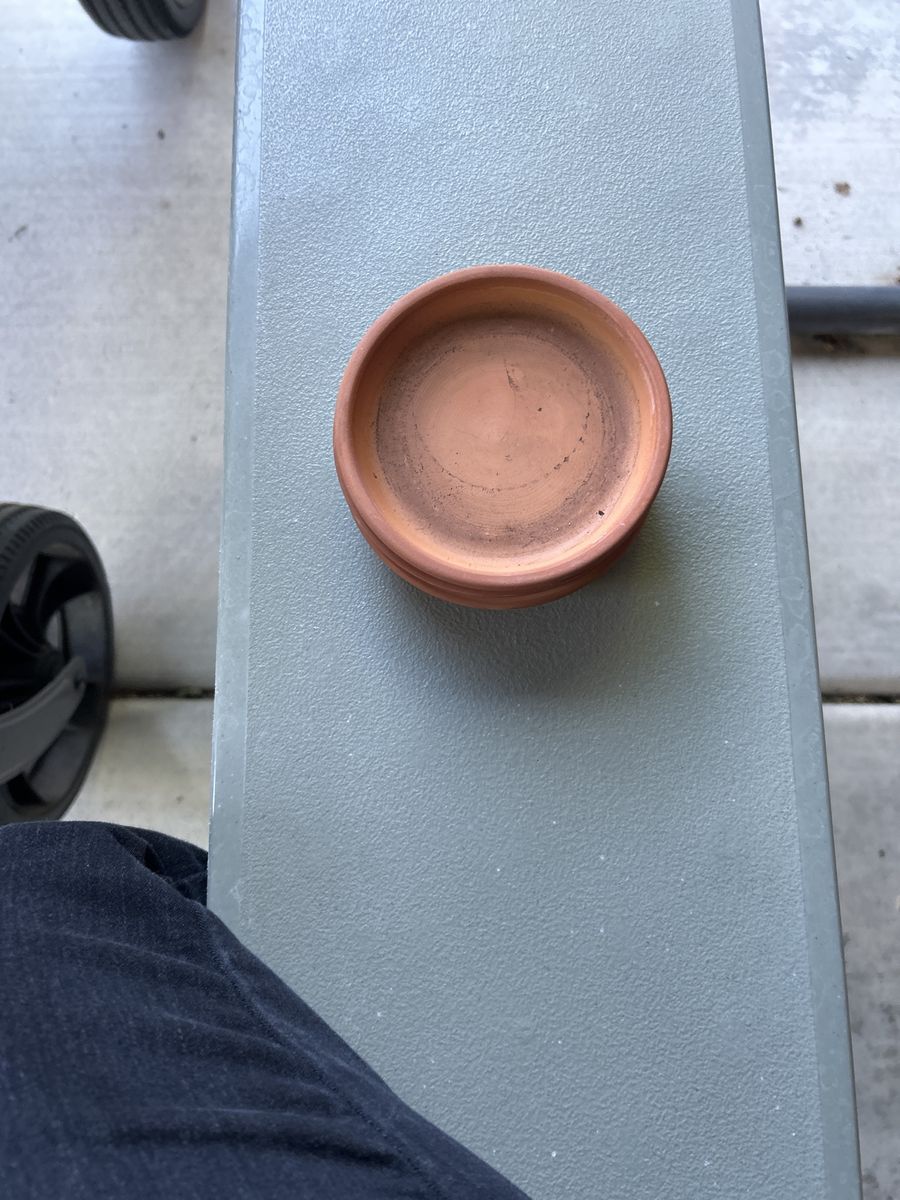 Plant things