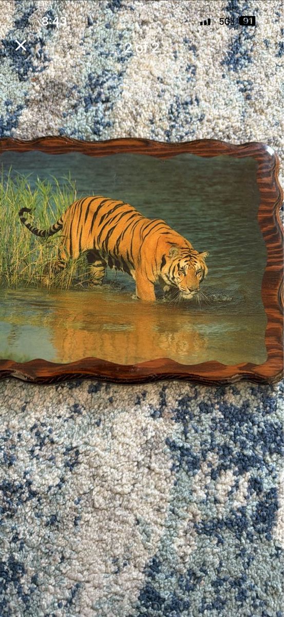 Vintage Wooden Framed Tiger in Water Wall Plaque Art