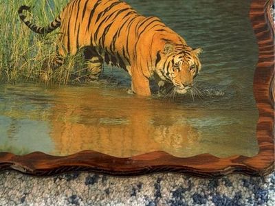 Vintage Wooden Framed Tiger in Water Wall Plaque Art