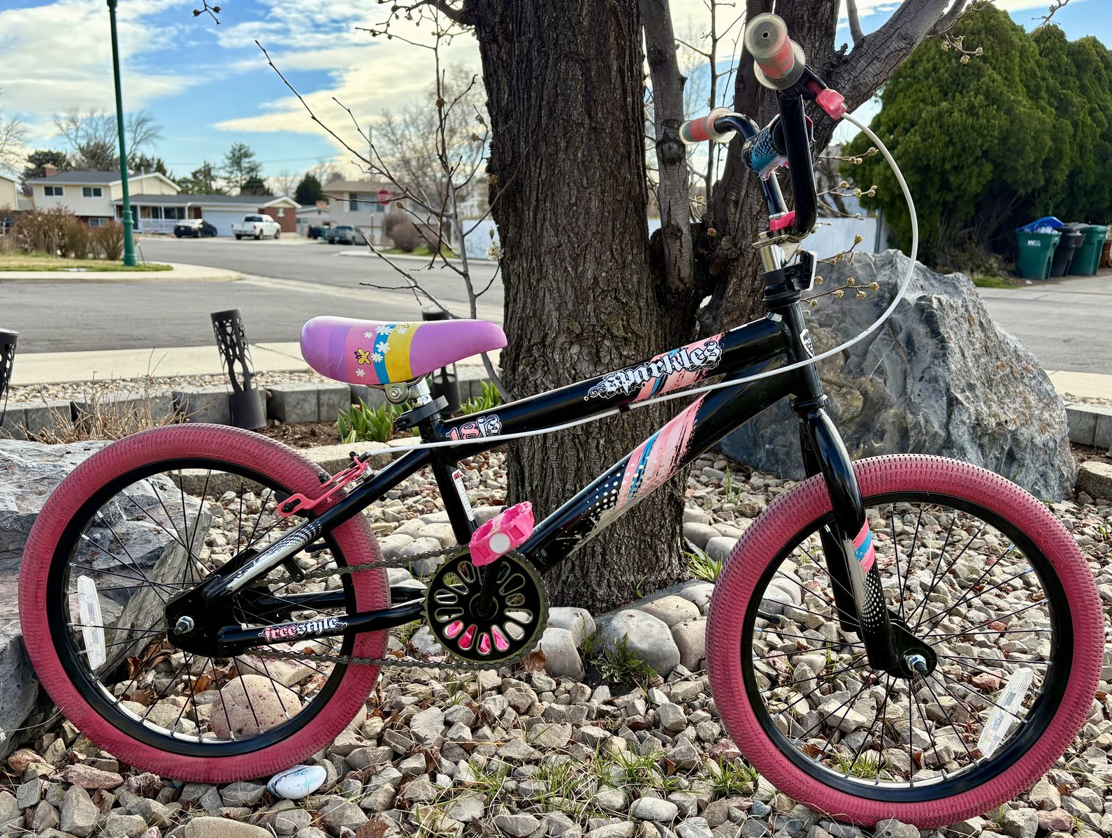 18 Inch Bike Ready To Ride