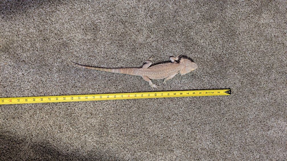 Main image 4