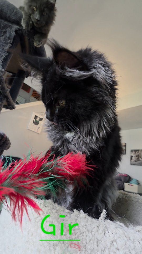 Main image 9