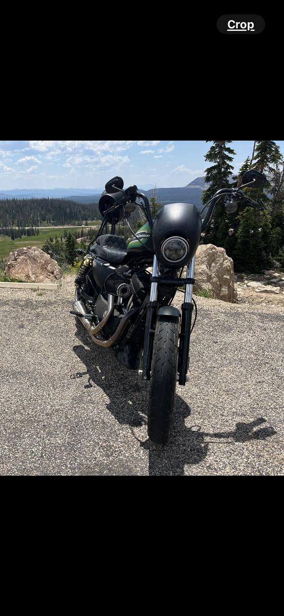 2021 Harley Davidson 1200 sportster iron 1200