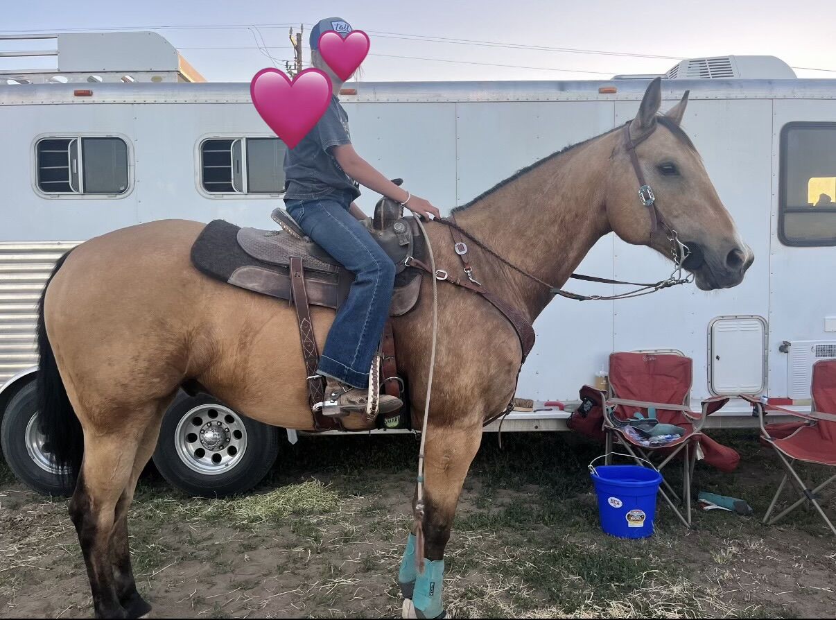 Highschool/Jr High Barrel Horse