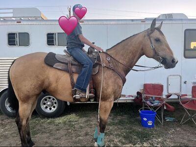 Highschool/Jr High Barrel Horse