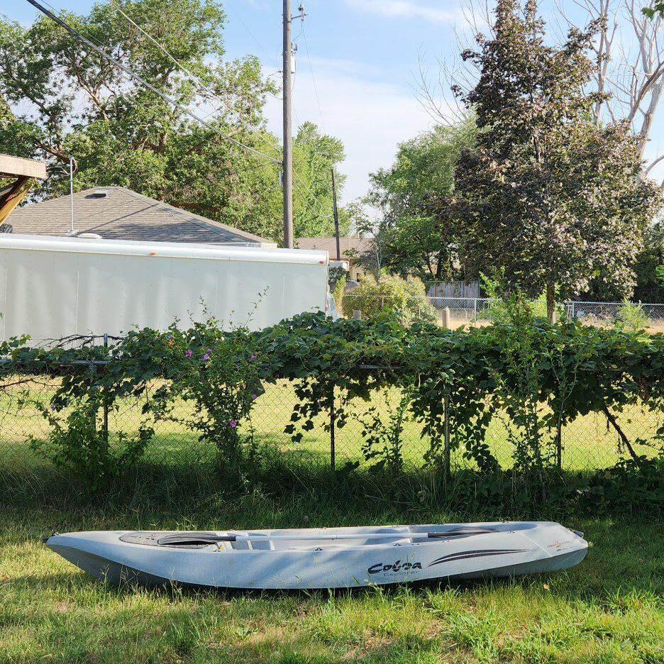 11 foot sit on top ocean kayak