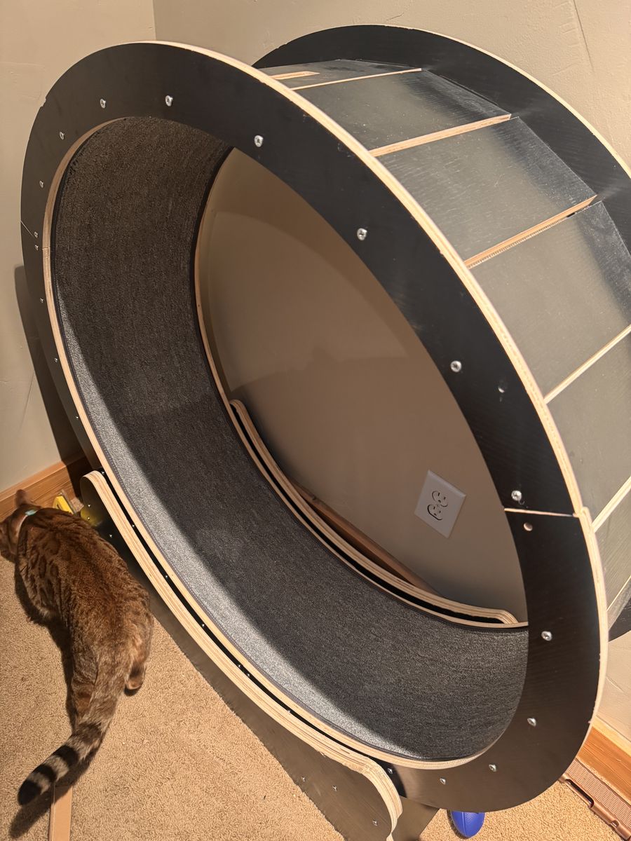 Large Cat Exercise Wheel 40 Inch Treadmill Exerciser for Indoor Cats