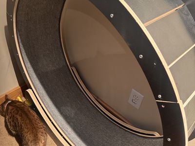 Large Cat Exercise Wheel 40 Inch Treadmill Exerciser for Indoor Cats