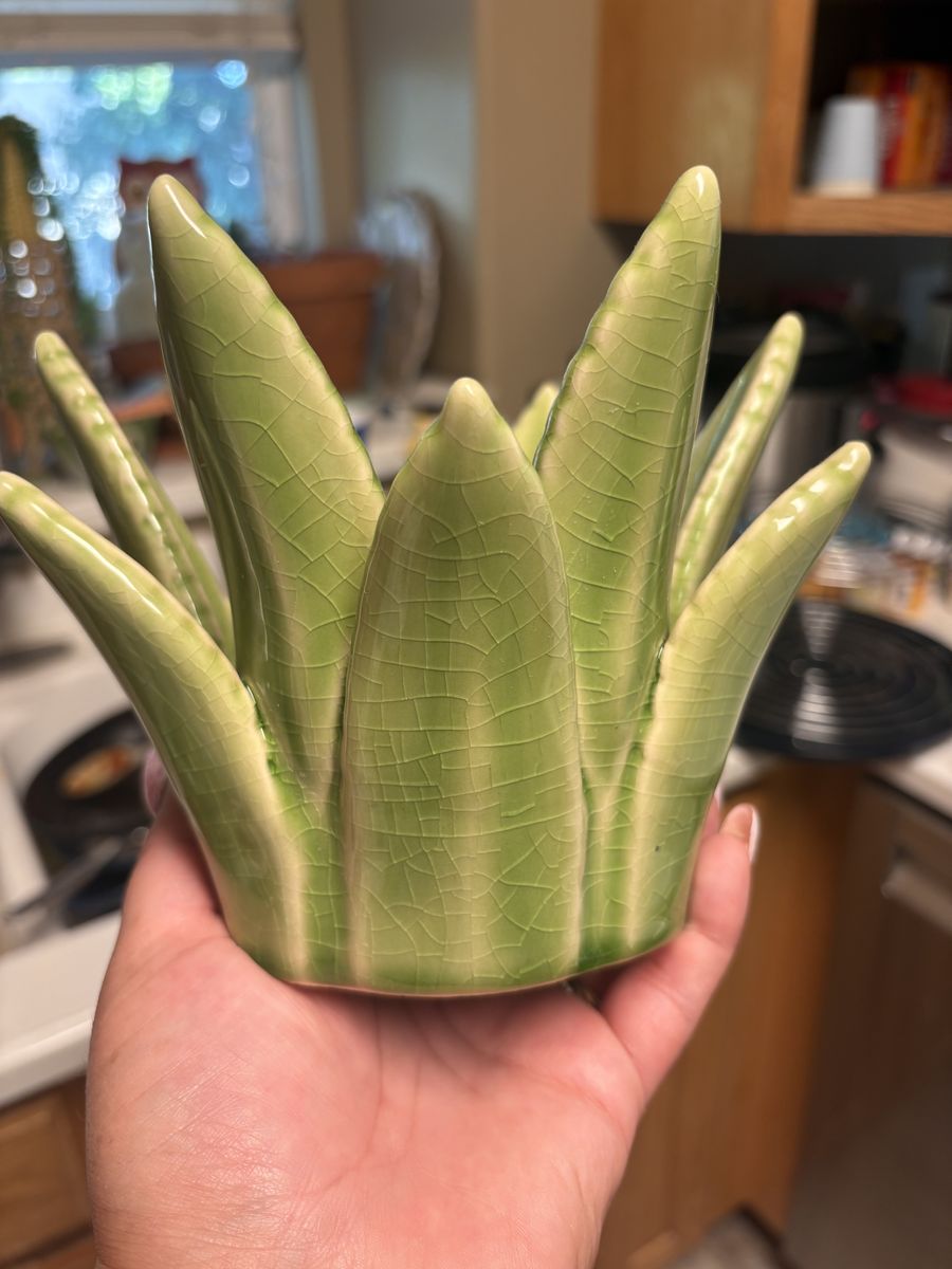 Scentsy aloe warmer