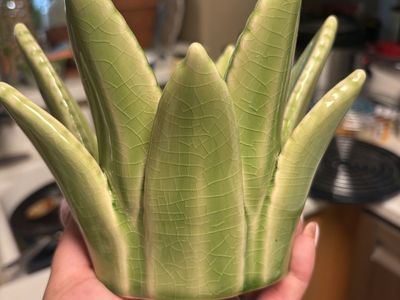 Scentsy aloe warmer