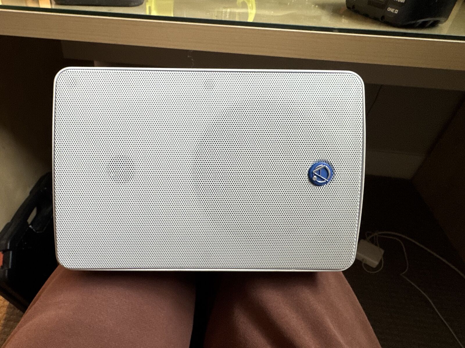 Atlas Indoor/outdoor Commercial Speakers