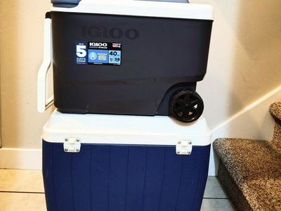Coleman & Igloo MaxCold Coolers - CASH