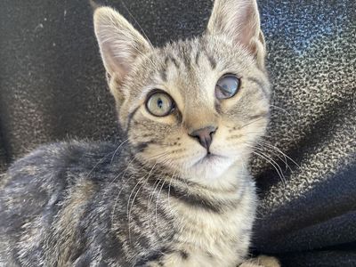 Hello my name is Hartford