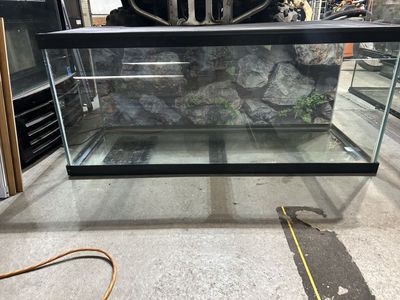 75 gallon tank