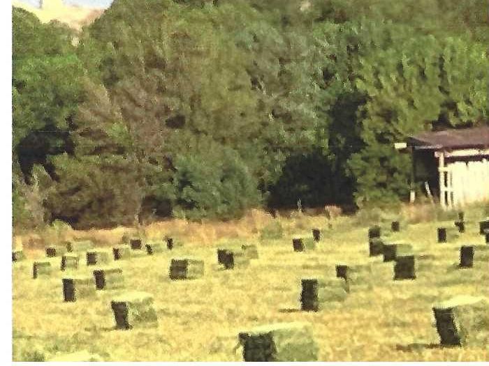 Main image 1