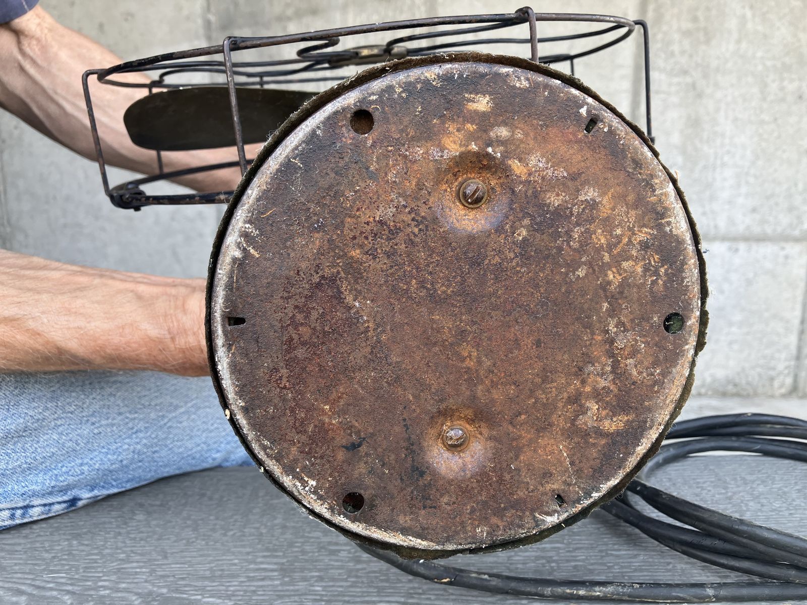 Main image 7
