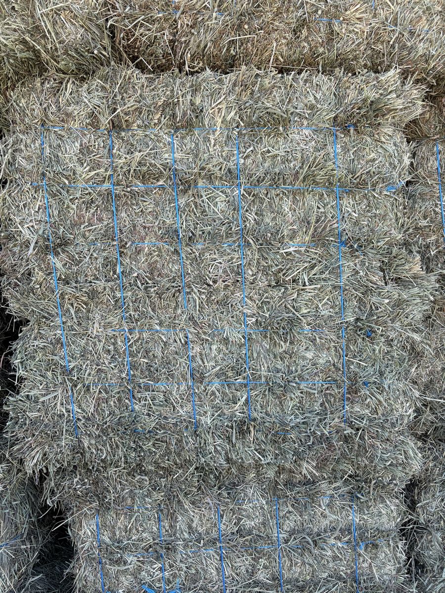 Main image 7