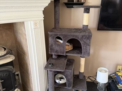 Free Cat tree