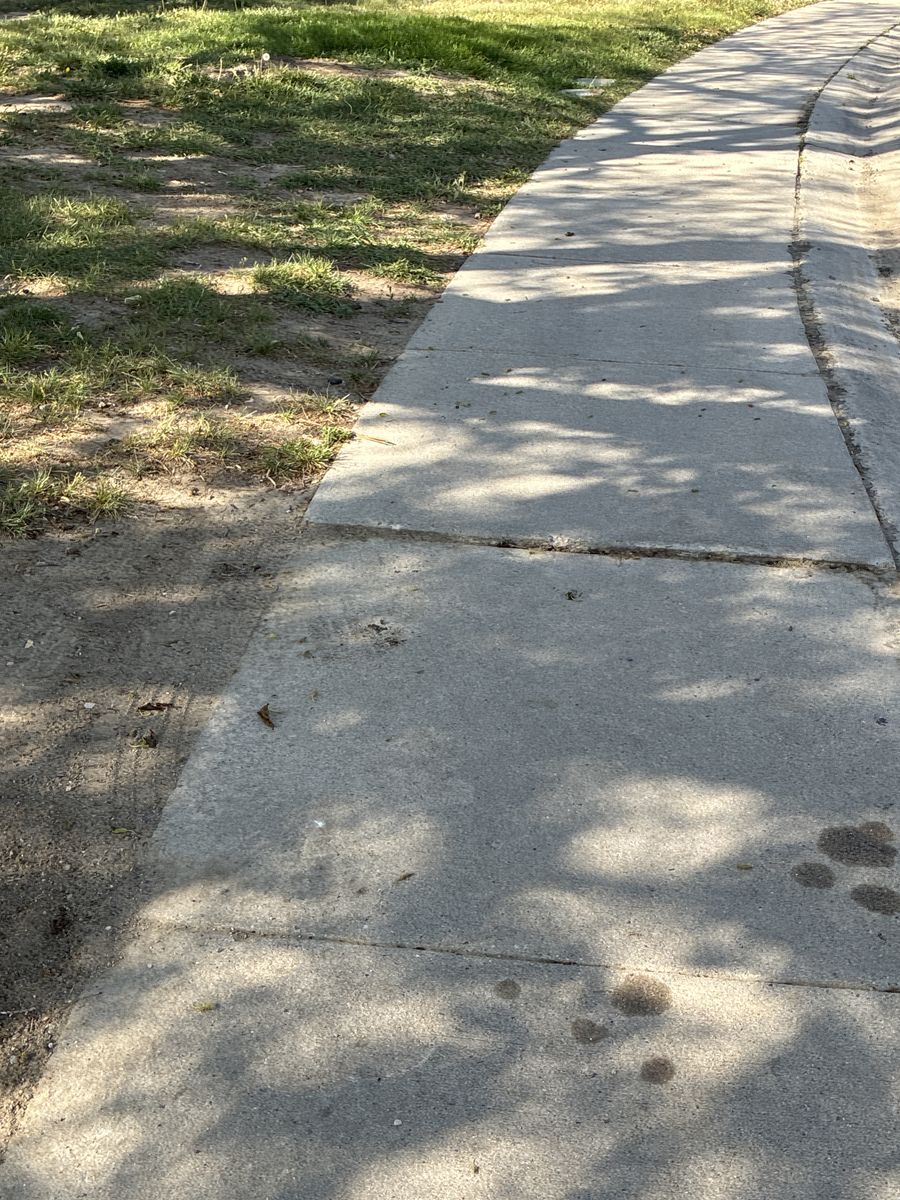 ISO dog walker helper