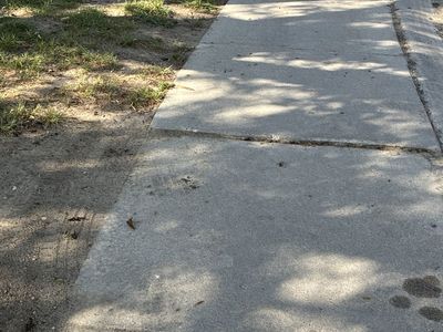 ISO dog walker helper
